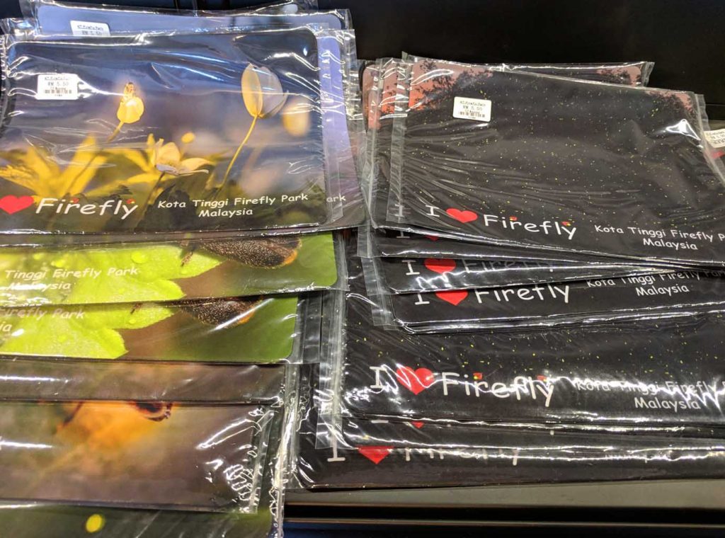 fireflies souvenir picture